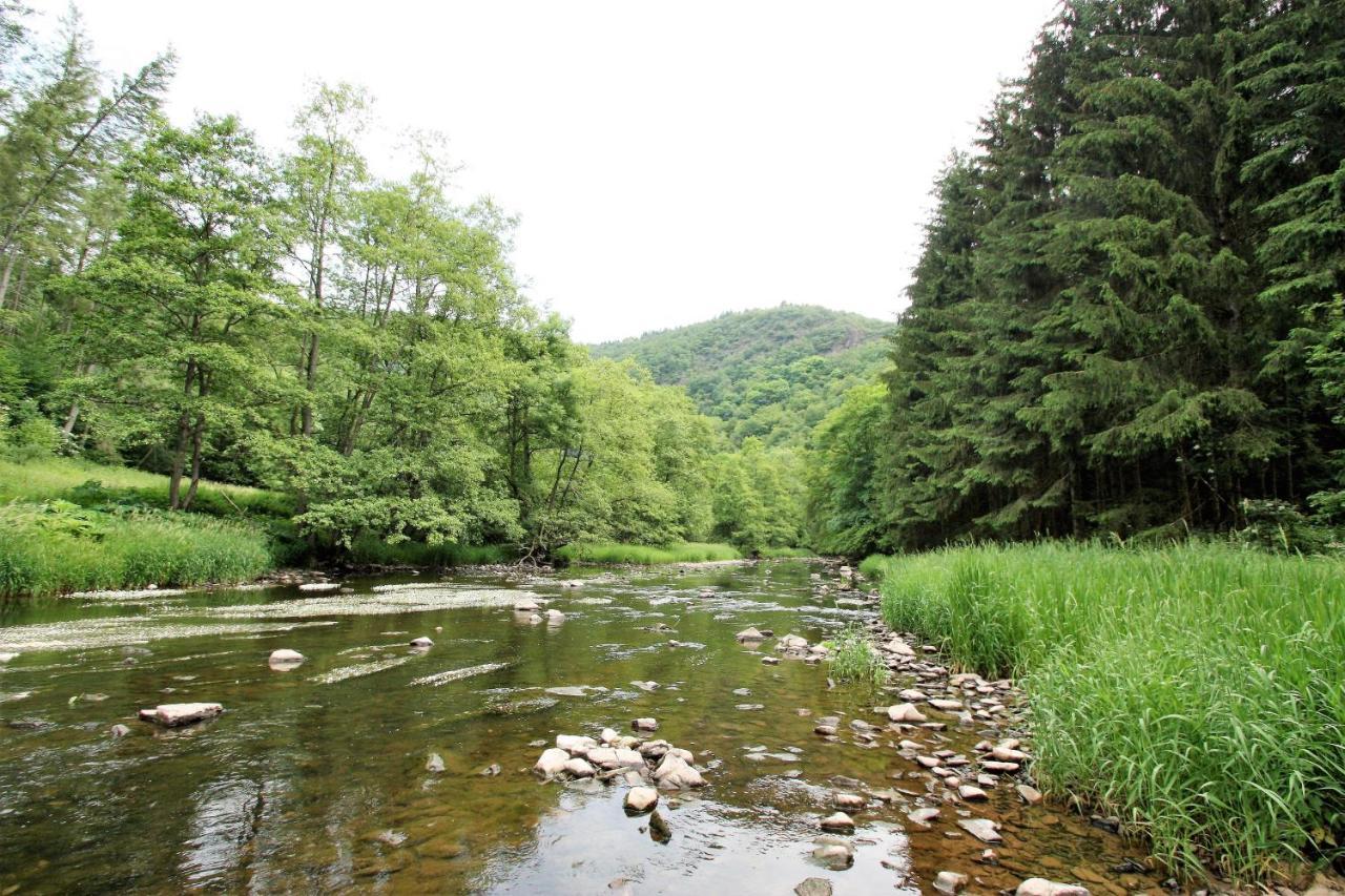 Gasthaus Pension Geimer Plütscheid エクステリア 写真